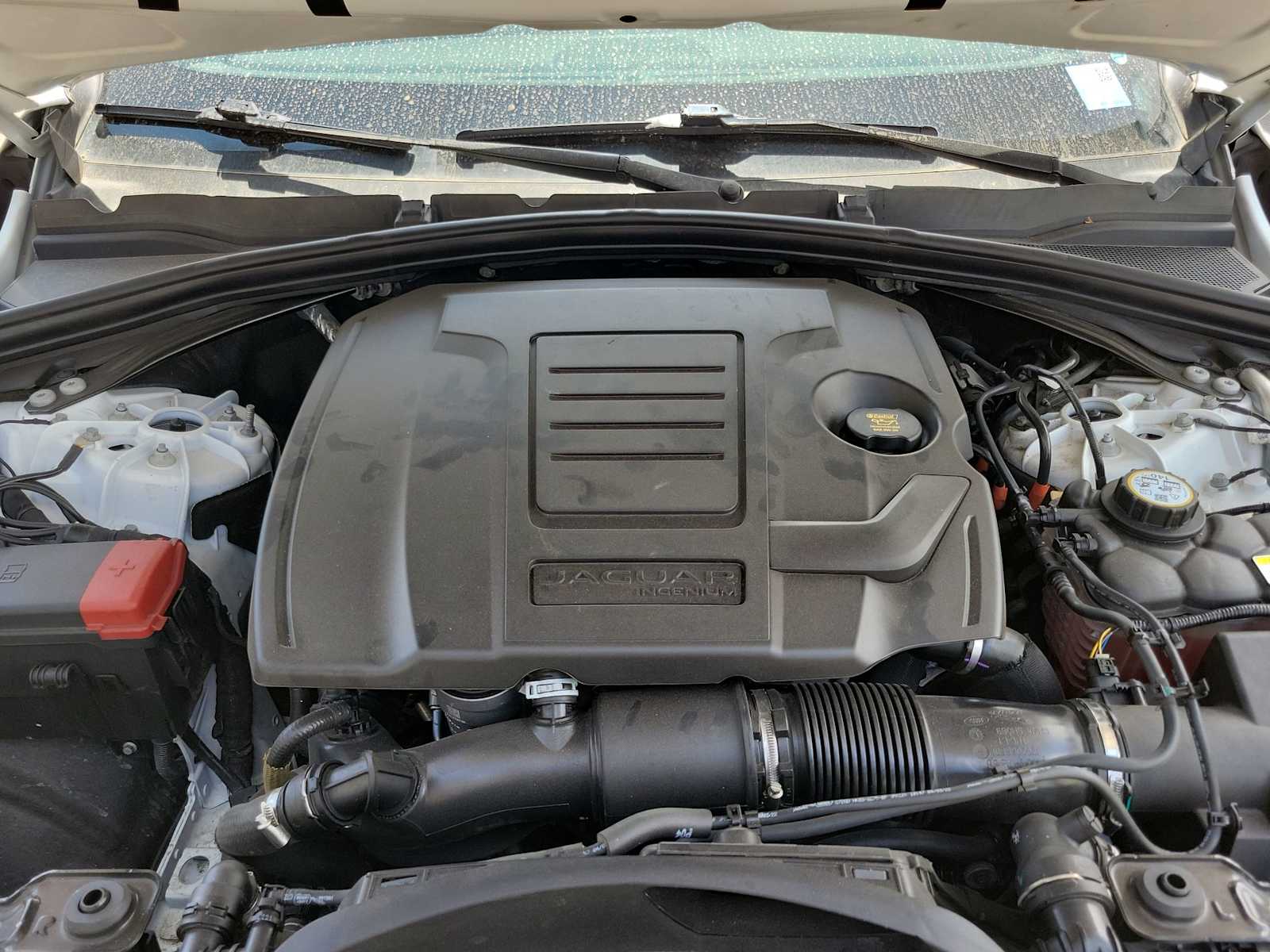 Thumbnail: 2024 Jaguar F-Pace - 13