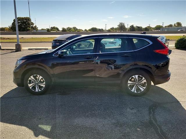 2019 Honda CR-V LX photo 2