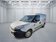  RAM ProMaster City