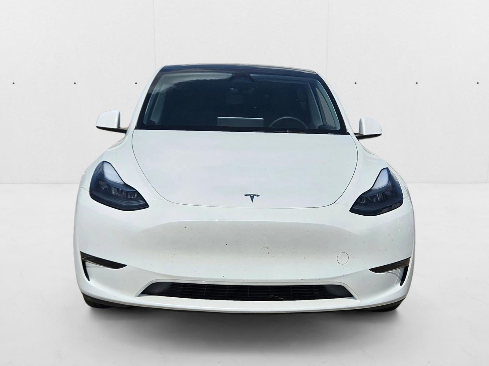 Used 2024 Tesla Model Y Long Range with VIN 7SAYGDEE2RA275992 for sale in Northfield, Minnesota