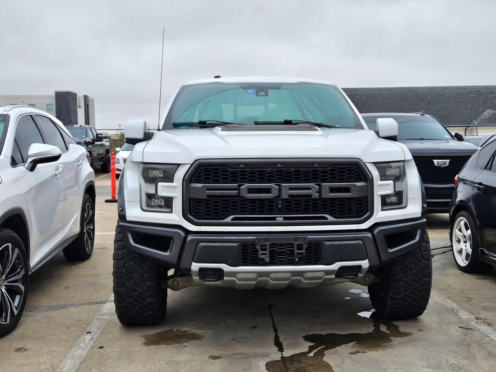 2017 Ford F-150 Raptor photo 2