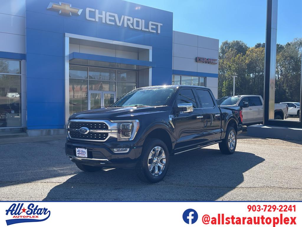 2021 Ford F-150 Platinum's photo