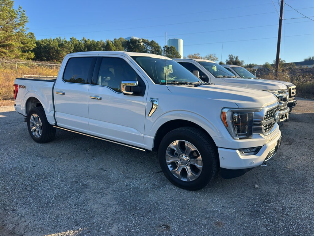 2023 Ford F-150 Platinum photo 2