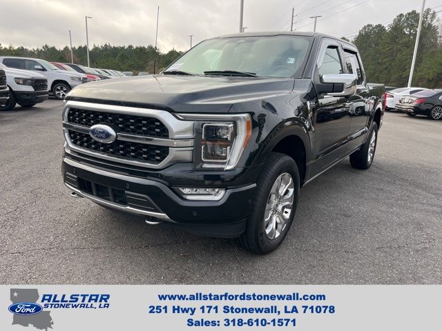 2023 Ford F-150 Platinum's photo