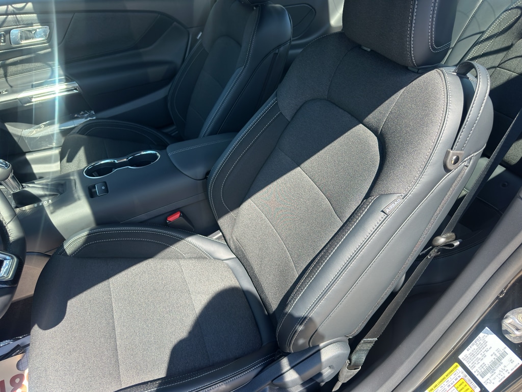 2025 Ford Mustang GT Fastback - Photo 19