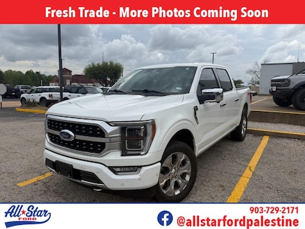 2023 Ford F-150 Platinum Crew Cab