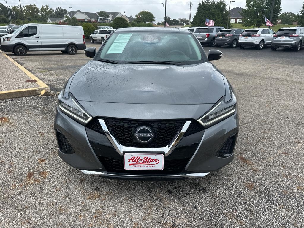 Used 2023 Nissan Maxima SV with VIN 1N4AA6CV4PC511656 for sale in Palestine, TX