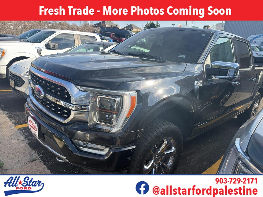 2021 Ford F-150 Platinum's photo