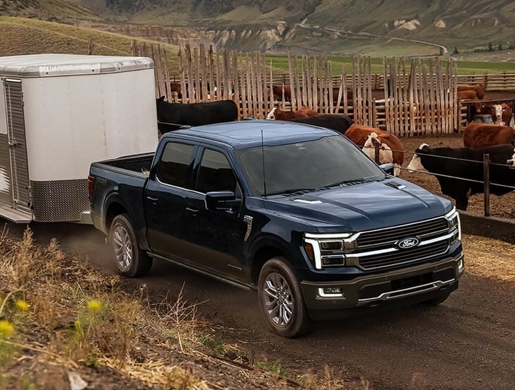 2026%20Ford%20F-150%20all%20star%20ford%20palestine.jpg