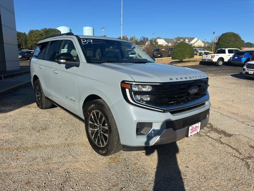 2025 Ford Expedition Platinum photo 3