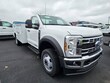 Ford F550
