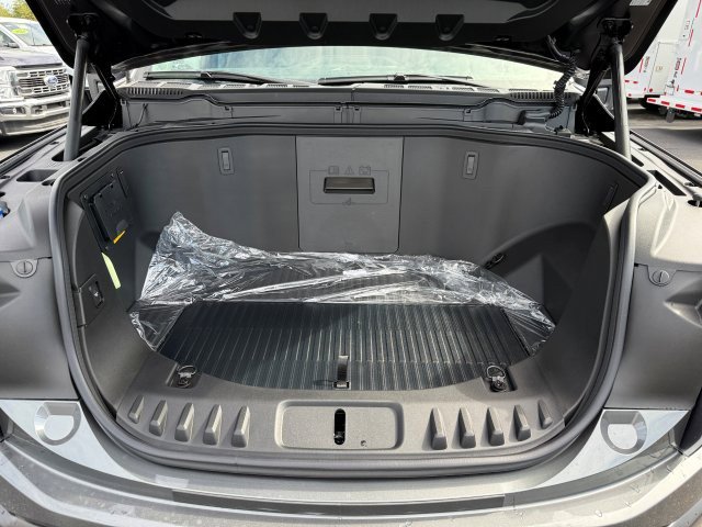 2025 Ford F-150 Lightning photo 3