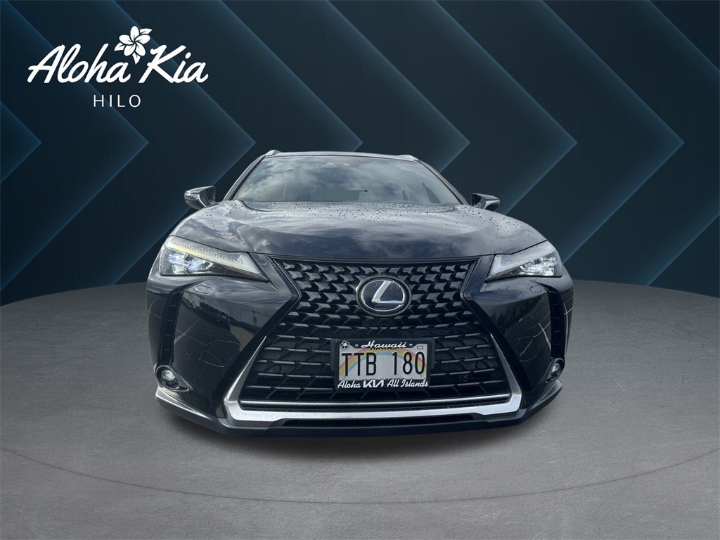 2019 Lexus UX Hybrid 250h's photo