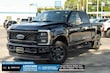 Ford Super Duty F-250 SRW
