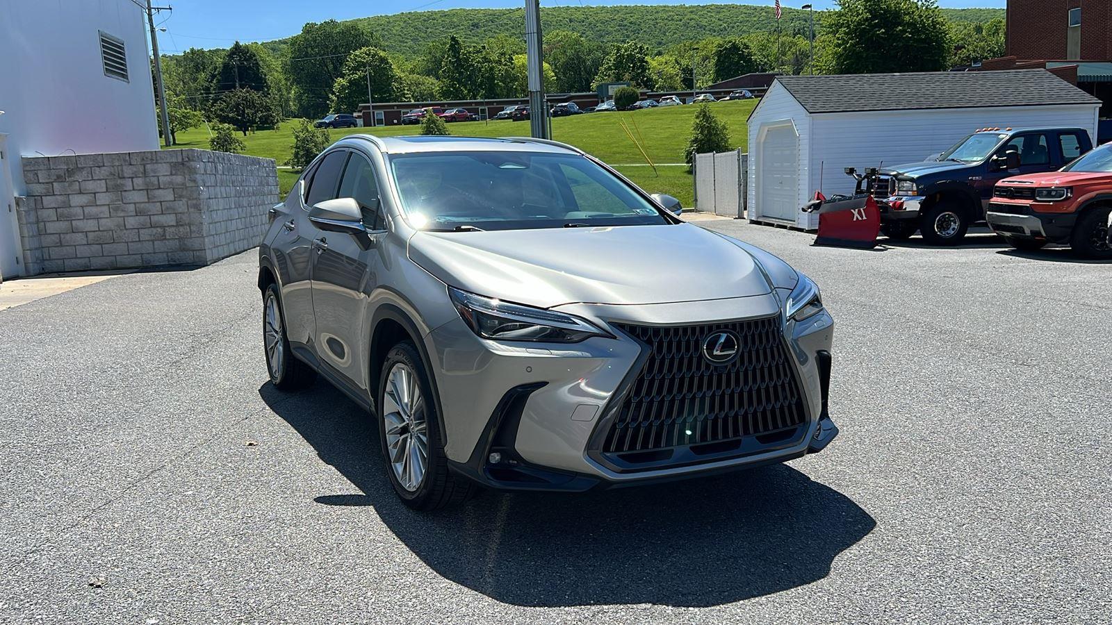 2024 Lexus NX 350 350 Luxury AWD's photo