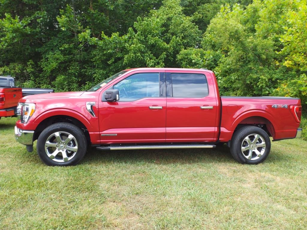 Used 2022 Ford F-150 XLT with VIN 1FTFW1ED7NFB50069 for sale in Manchester, TN