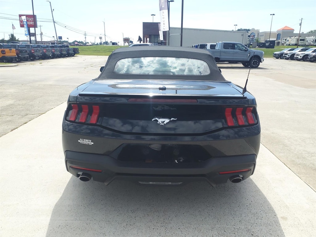 Used 2024 Ford Mustang Ecoboost Premium Convertible
