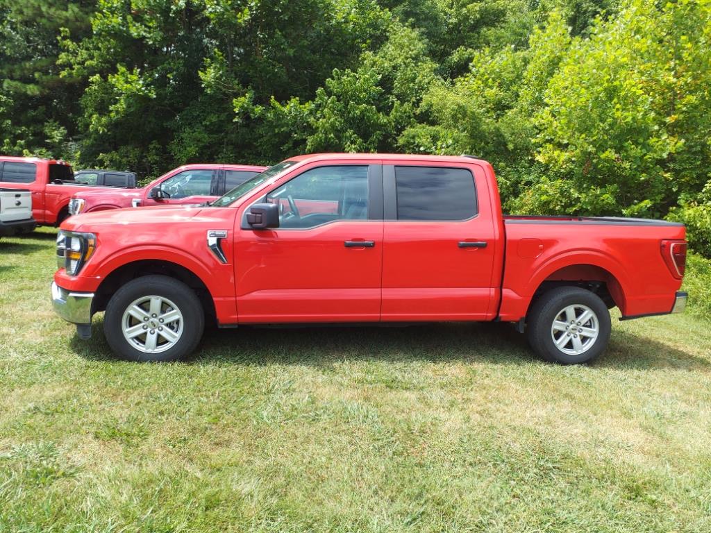 Used 2023 Ford F-150 XLT with VIN 1FTEW1C89PKD23649 for sale in Manchester, TN