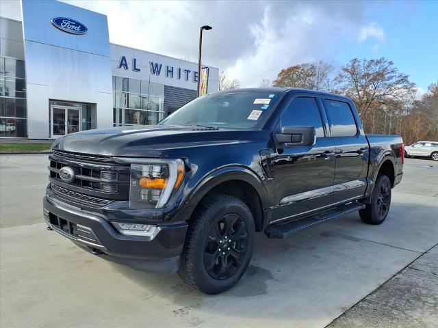2023 Ford F-150 XLT's photo