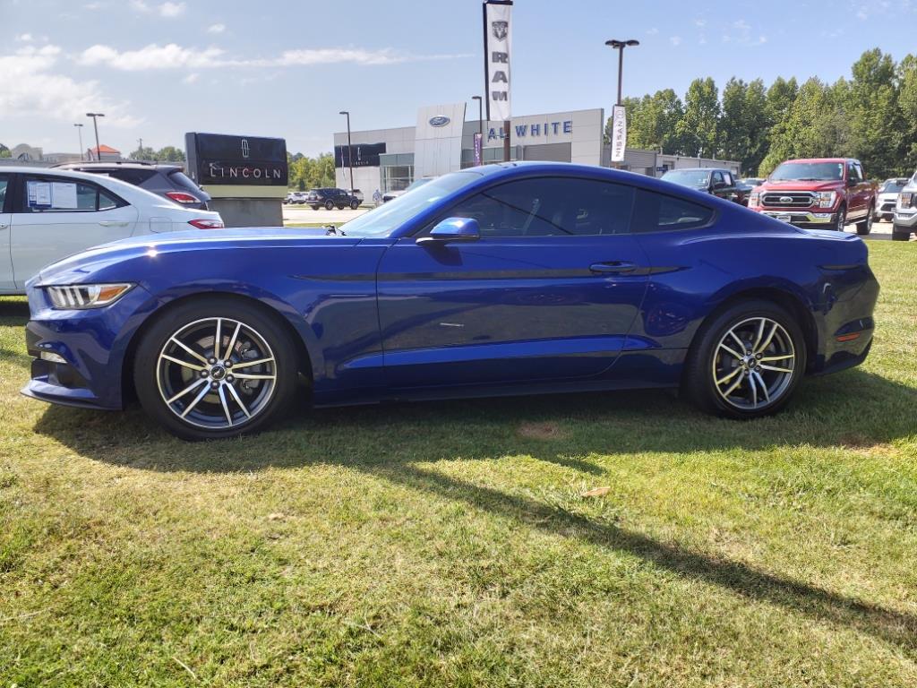 Used 2015 Ford Mustang EcoBoost Premium with VIN 1FA6P8TH1F5432894 for sale in Manchester, TN