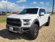 Used 2019 Ford F-150 Raptor Regular Side