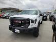 Used 2023 GMC Sierra 1500 4WD Crew Cab Short Box AT4X Regular Side