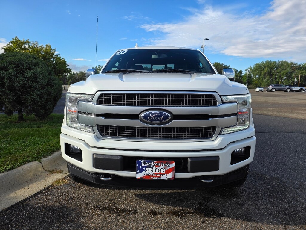 2020 Ford F-150 Platinum photo 2