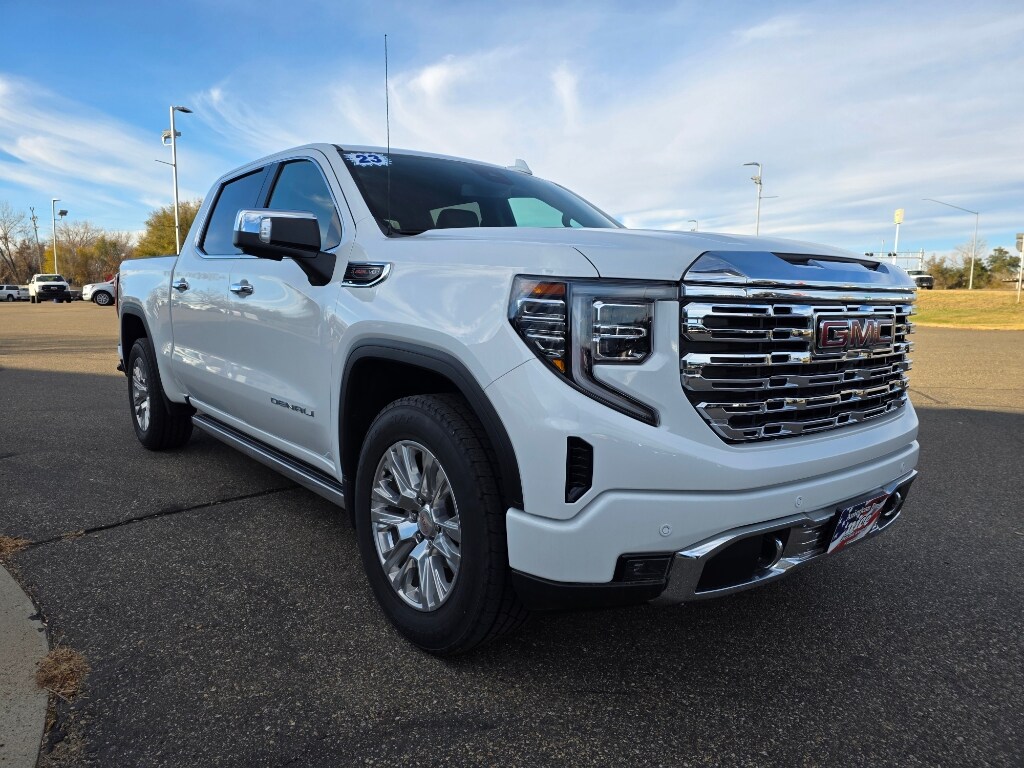 2023 Gmc Sierra 1500 Denali photo 3