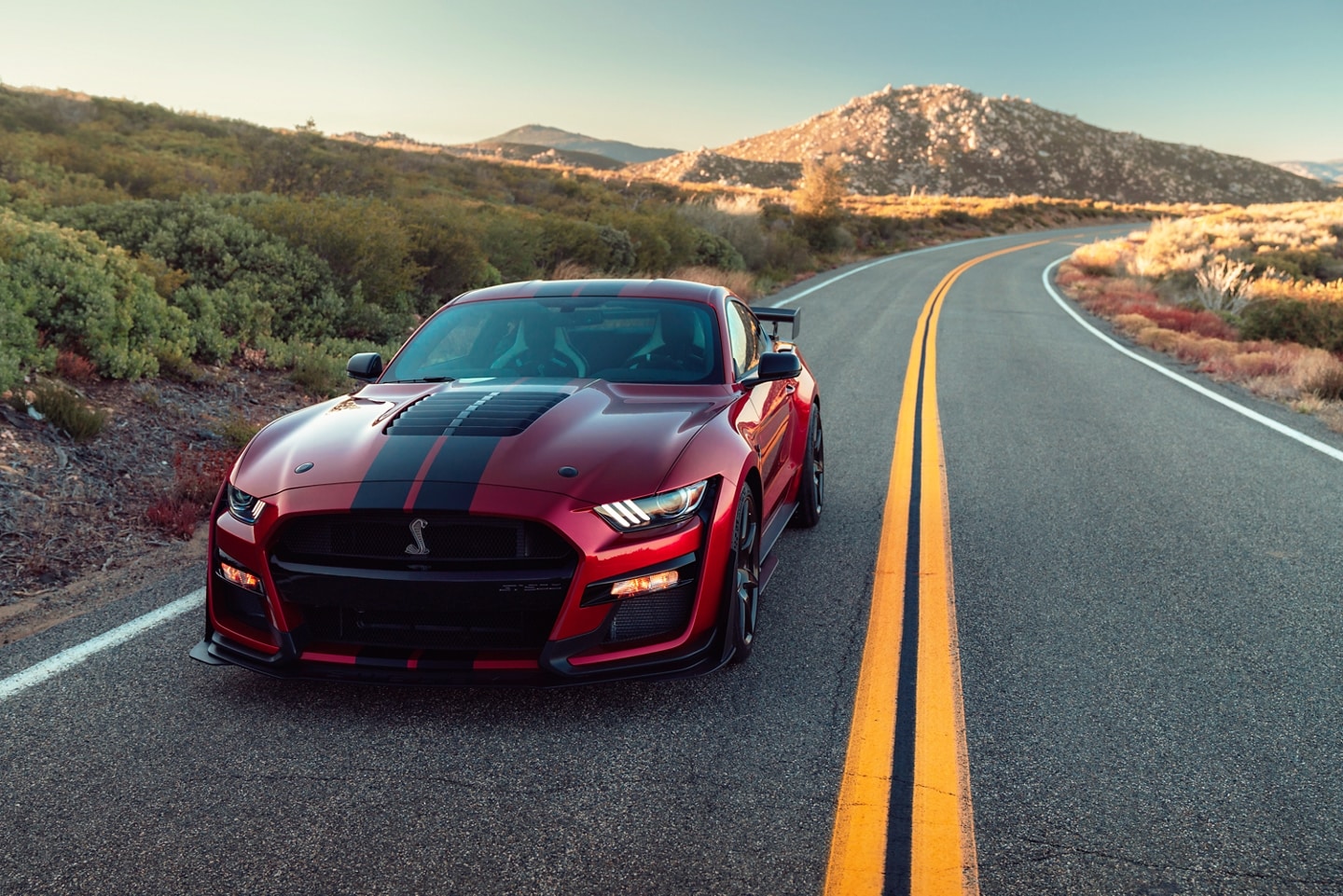 Shelby Mustang vs Stock Ford Mustang What's The Difference?