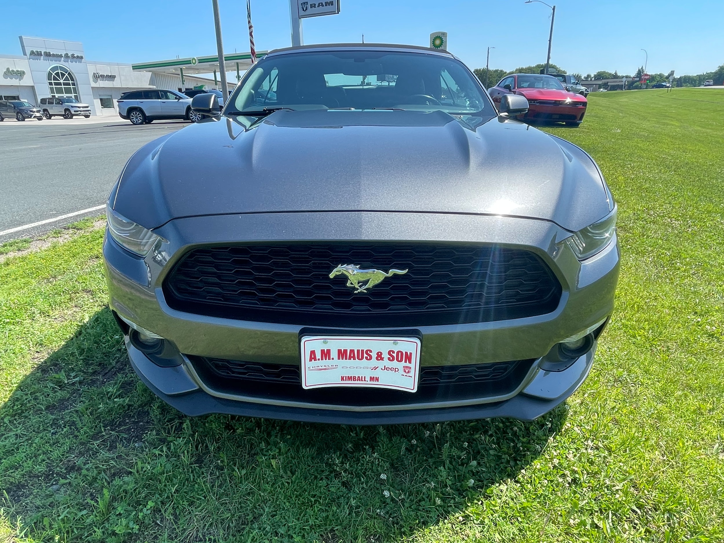 Used 2017 Ford Mustang EcoBoost Premium with VIN 1FATP8UH3H5313264 for sale in Kimball, Minnesota