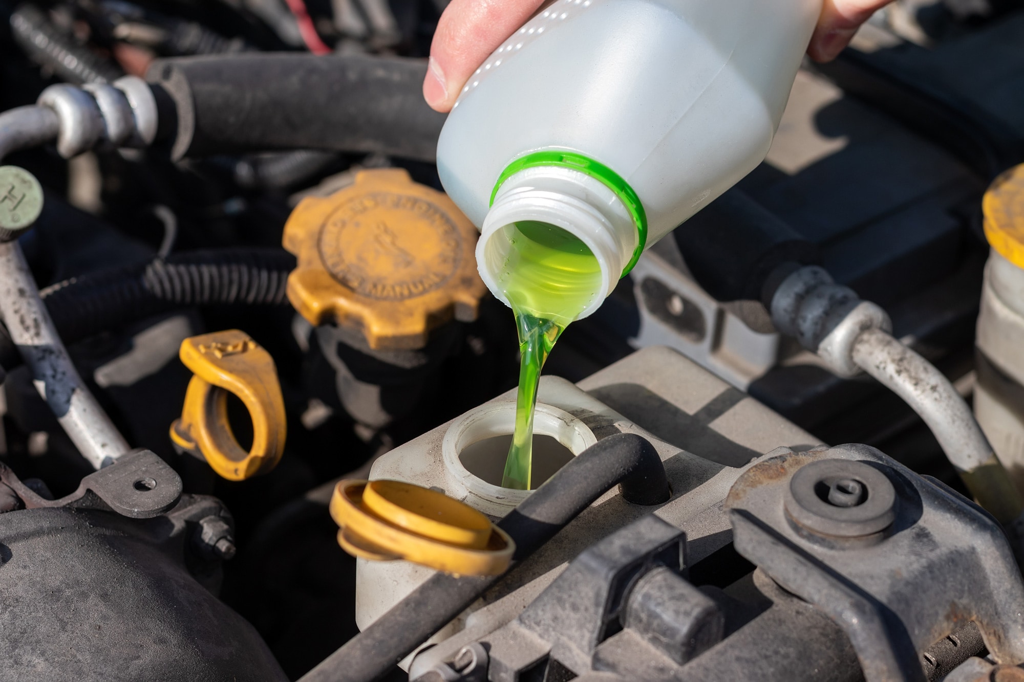 General_Service_CoolantAntifreeze_1.jpg