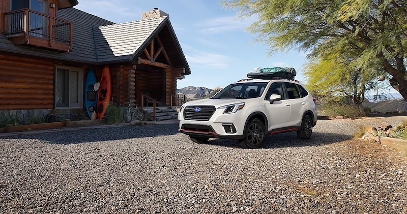  subaru forester, 2023 subaru forester, subaru forester wilderness, 2022 subaru forester, subaru forester 2023, 2020 subaru forester, 2024 subaru forester, subaru forester for sale, 2015 subaru forester, used subaru forester, 2018 subaru forester, 2021 subaru forester, subaru forester sport, 2010 subaru forester, 2014 subaru forester, 2019 subaru forester, 2017 subaru forester, 2016 subaru forester, subaru forester 2022, 2009 subaru forester, 2011 subaru forester, forester subaru, 2012 subaru forester, subaru forester 2015, 2013 subaru forester, 2008 subaru forester, subaru forester sti, 2004 subaru forester, 2005 subaru forester, 2006 subaru forester