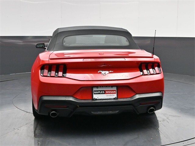 2024 Ford Mustang EcoBoost Premium photo 4