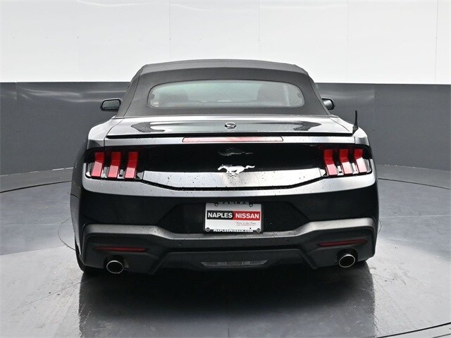 2024 Ford Mustang EcoBoost Premium photo 4