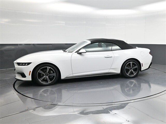 2024 Ford Mustang EcoBoost photo 4