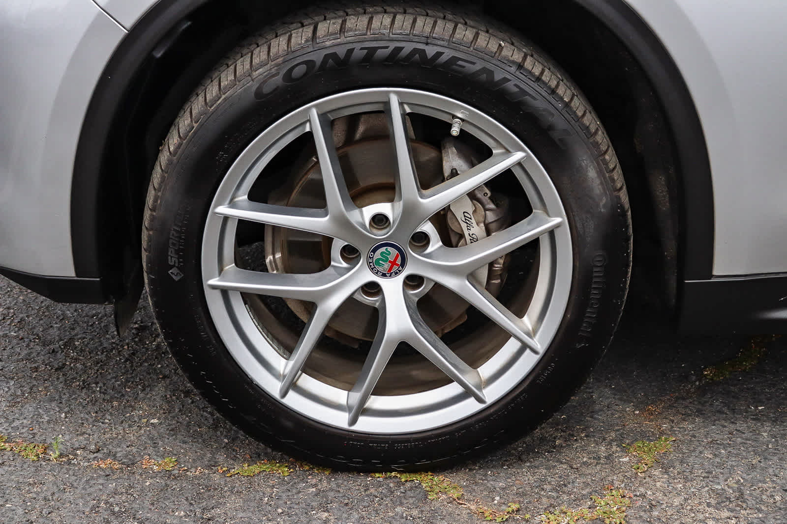 Thumbnail: 2019 Alfa Romeo Stelvio - 12