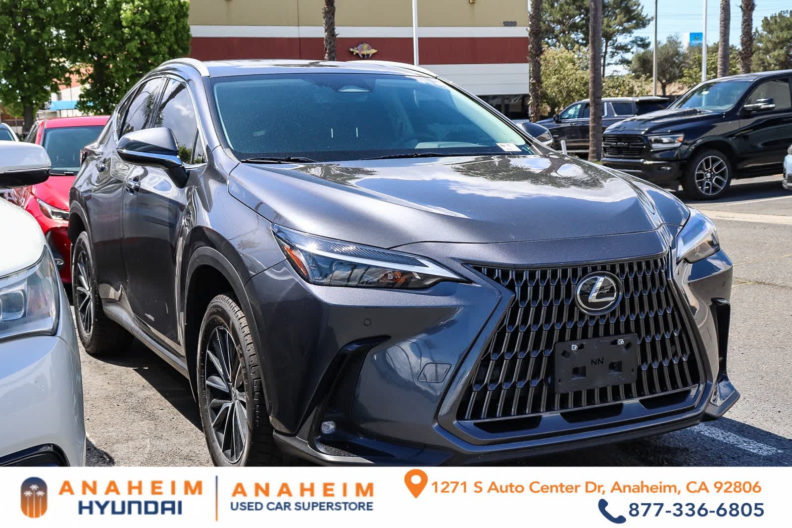 2024 LEXUS NX 250 Premium photo 1