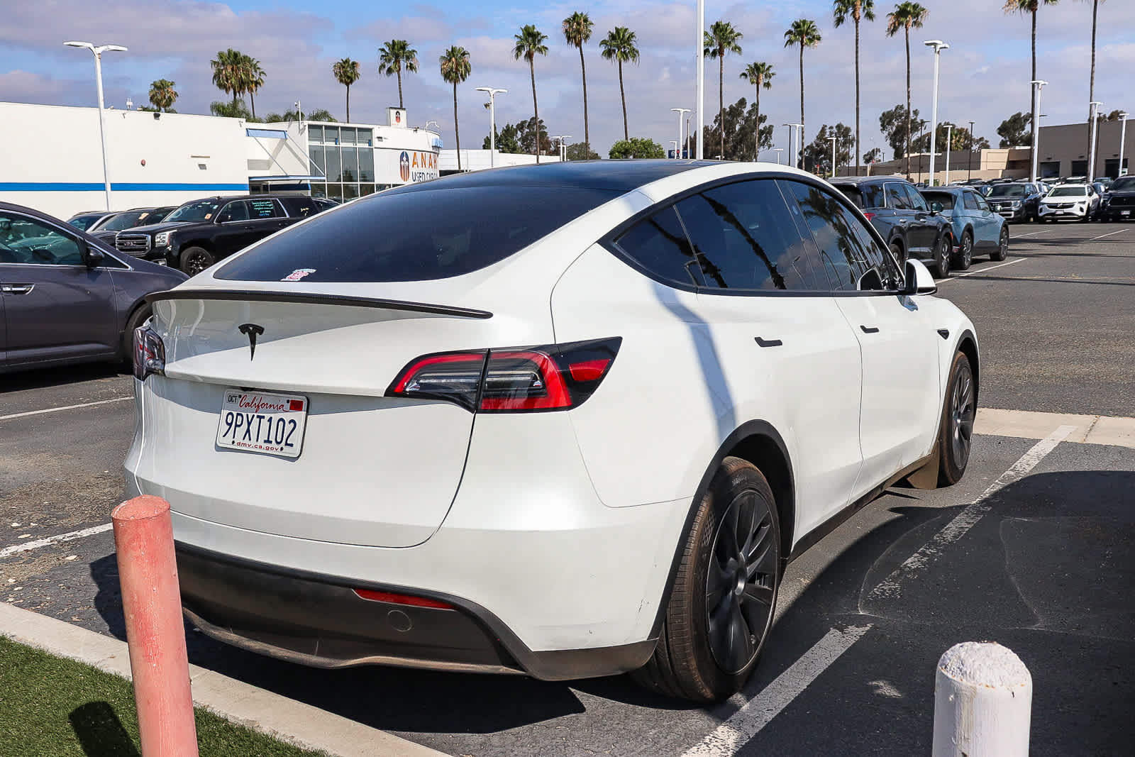 2024 Tesla Model Y Long Range photo 4