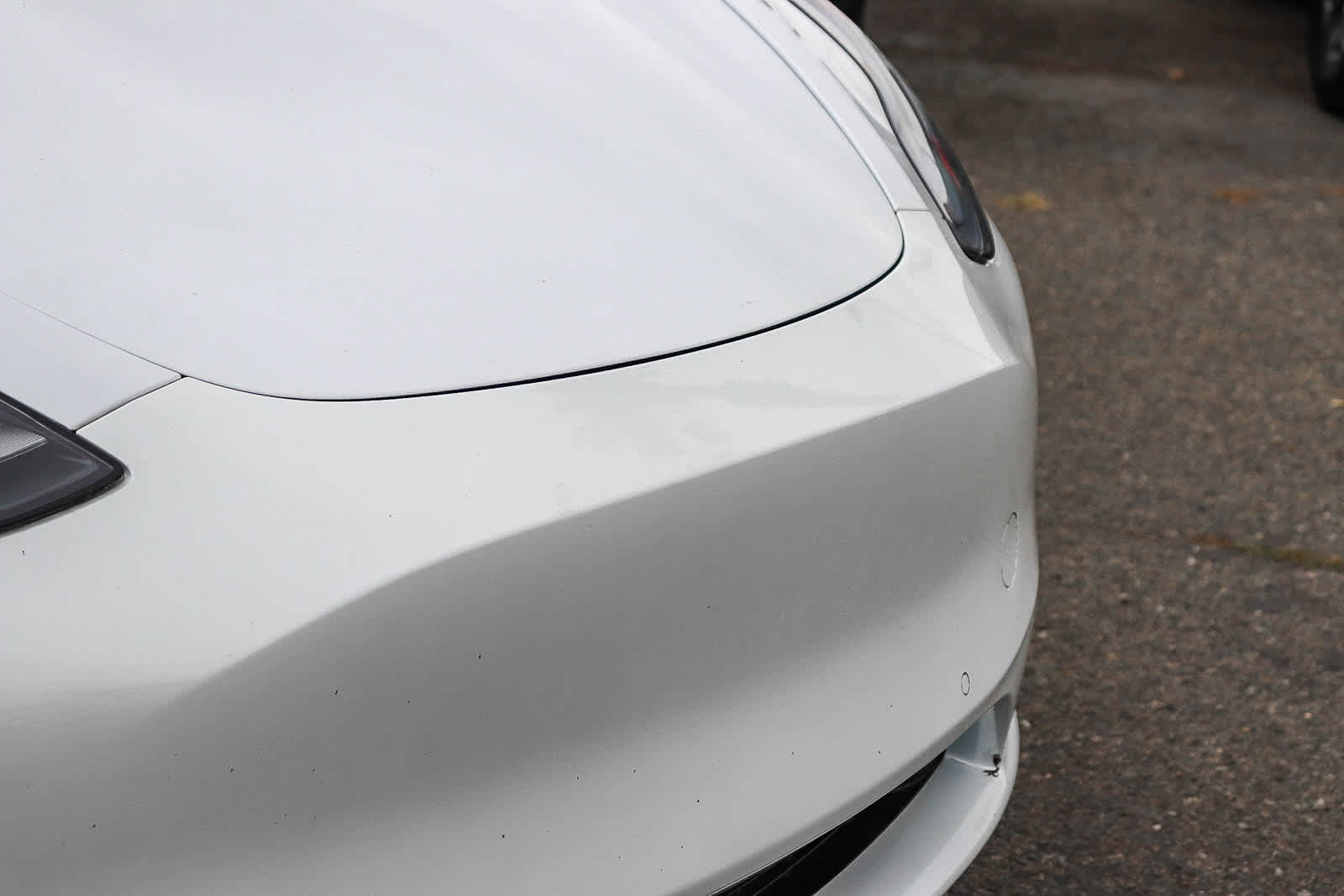 Thumbnail: 2022 Tesla Model Y - 5