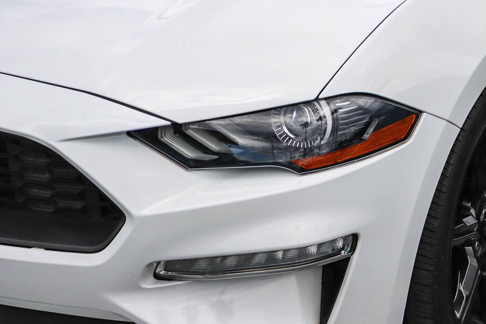 2019 Ford Mustang Ecoboost photo 2