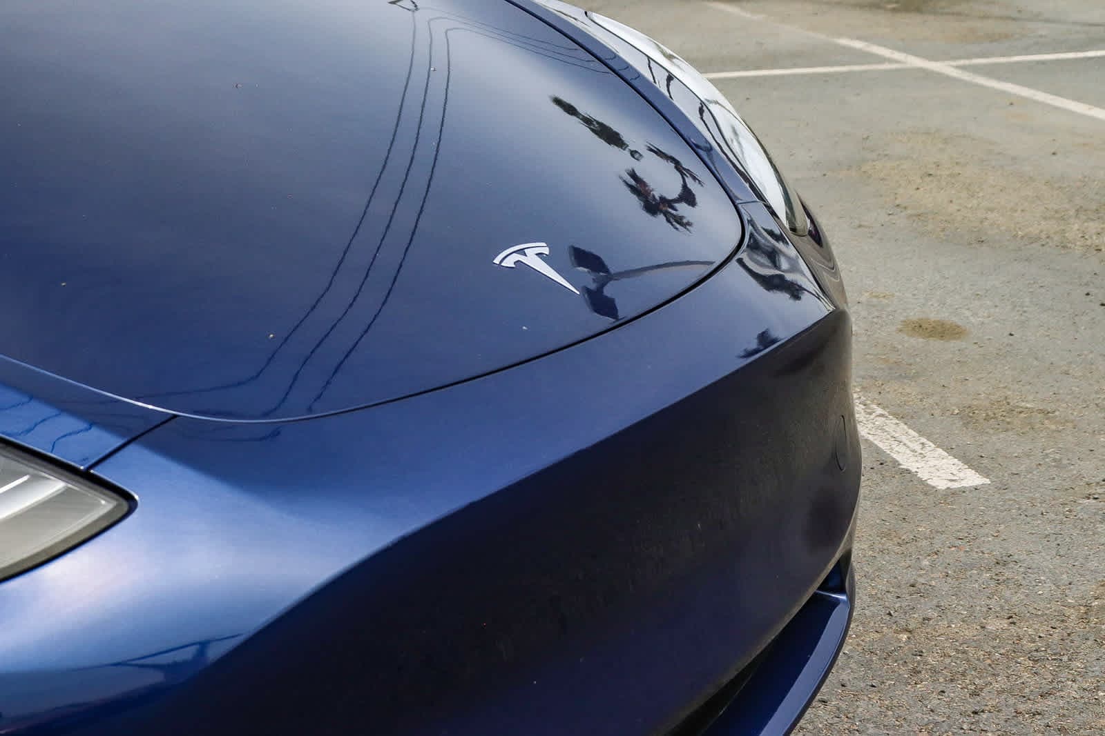 Thumbnail: 2023 Tesla Model Y - 5