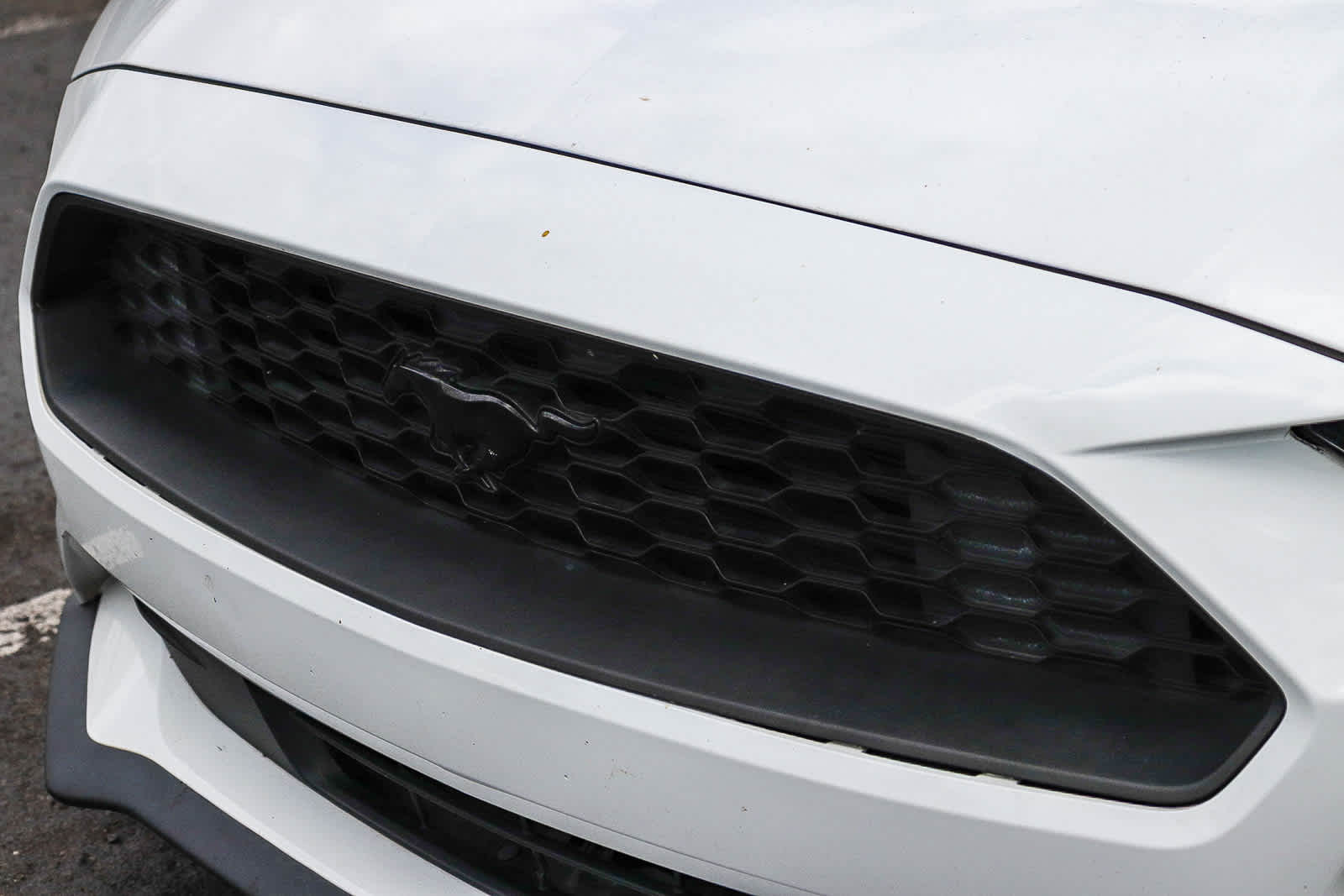 2019 Ford Mustang Ecoboost photo 3