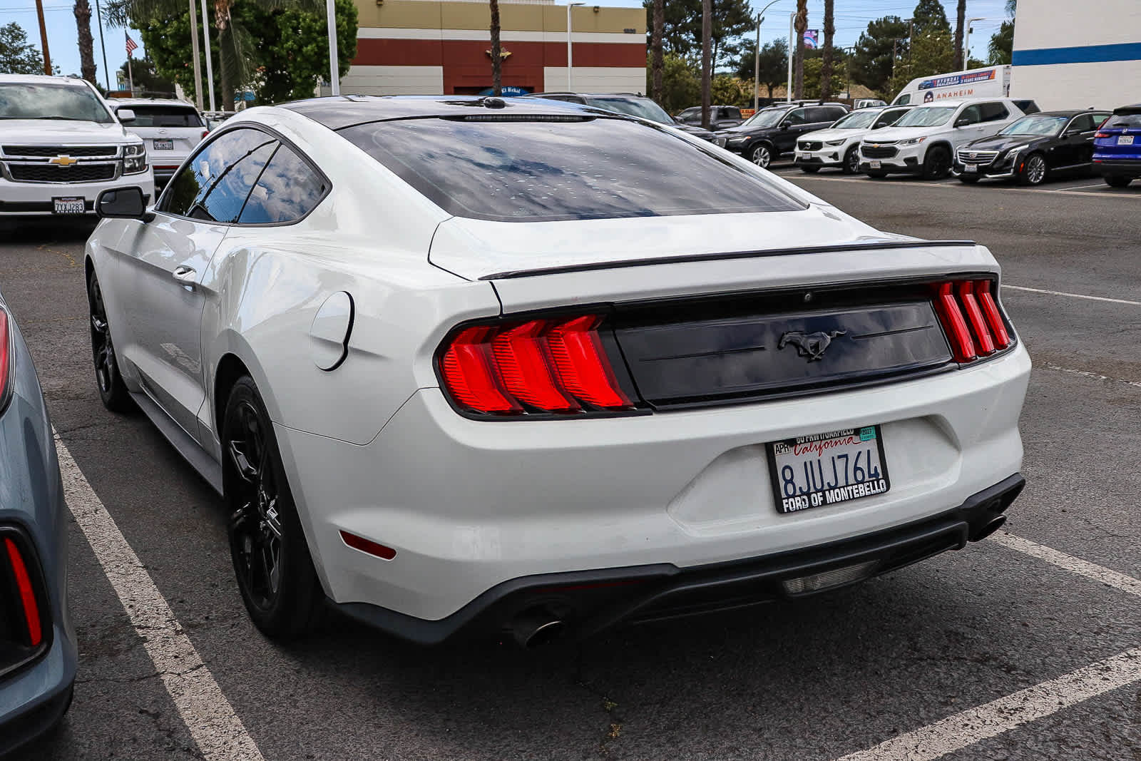 2019 Ford Mustang Ecoboost photo 5