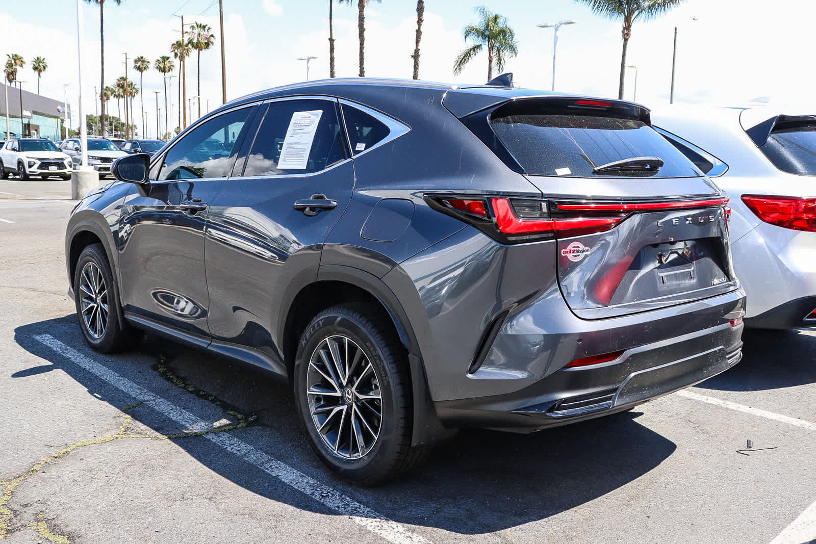 2024 LEXUS NX 250 Premium photo 6