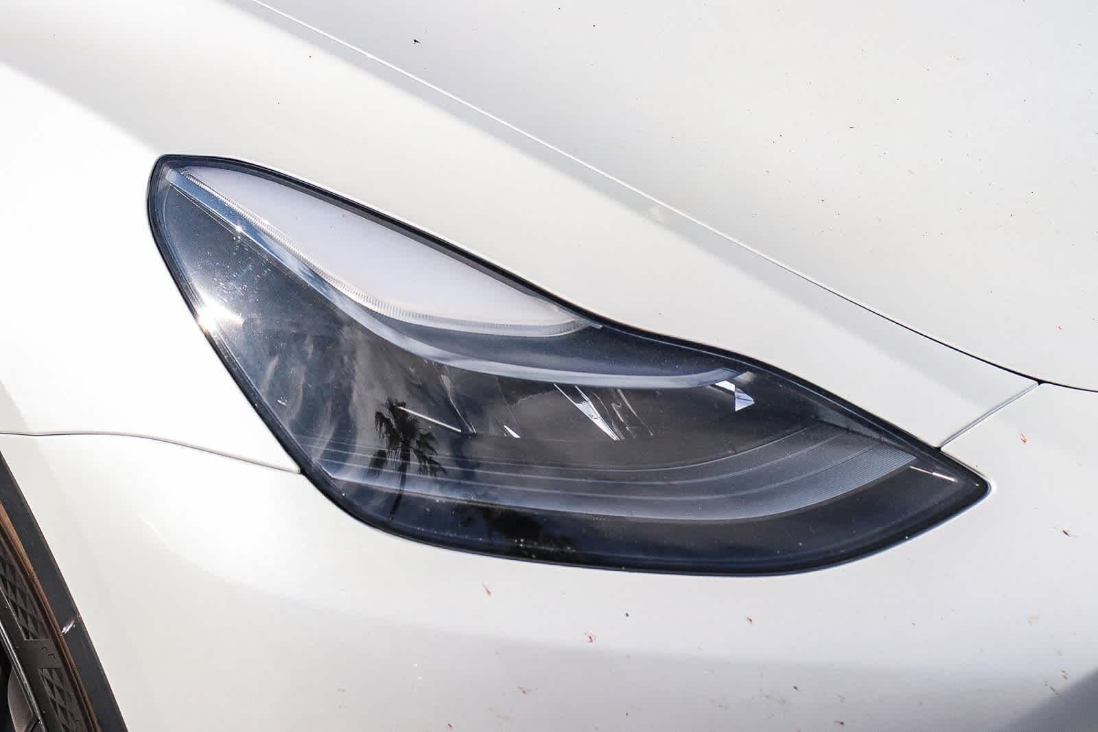2024 Tesla Model Y Long Range photo 2