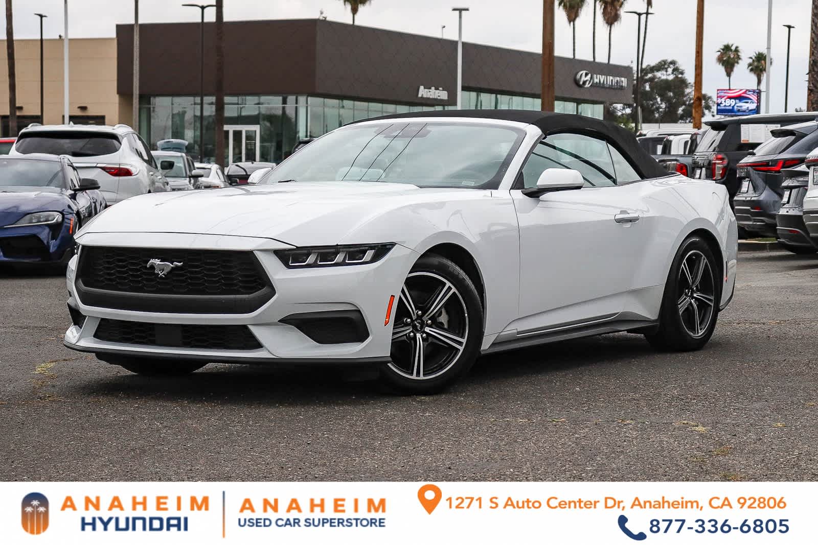 2024 Ford Mustang EcoBoost Premium Convertible's photo