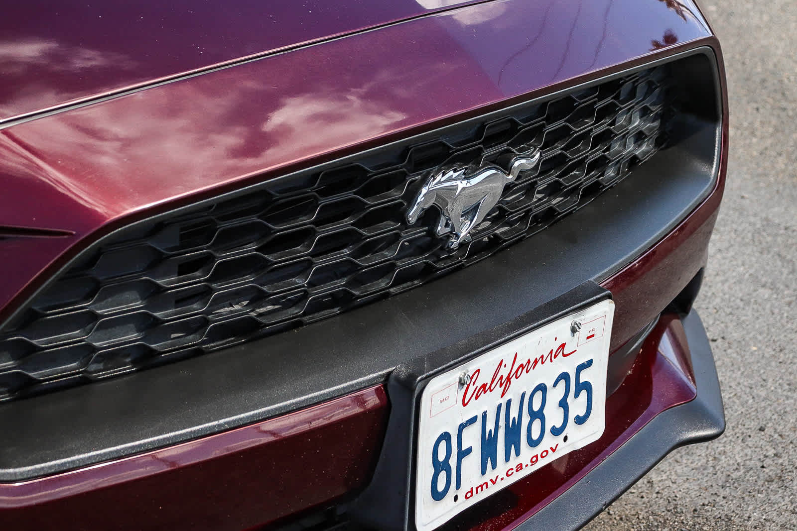 2018 Ford Mustang Ecoboost photo 4