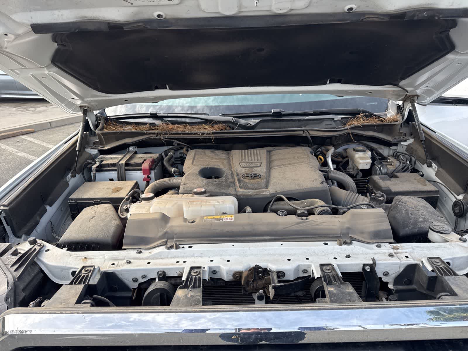 Thumbnail: 2024 Toyota Tundra - 17