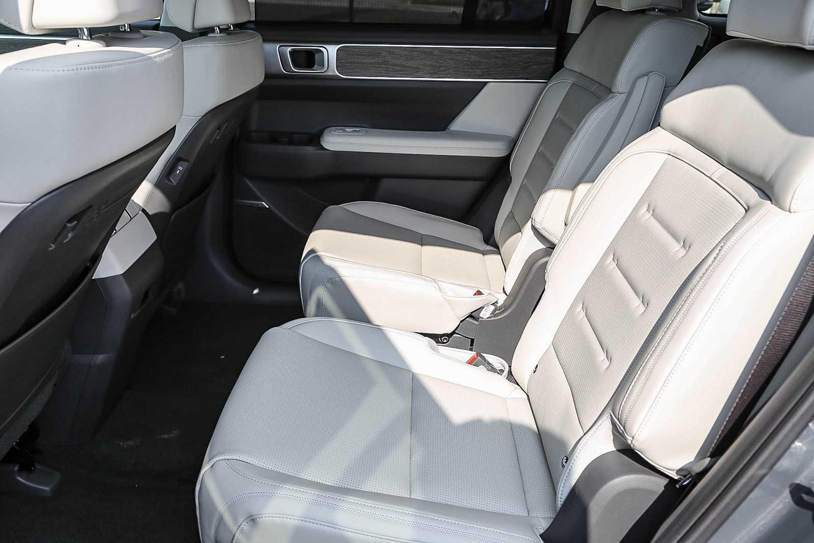 Thumbnail: 2026 Hyundai Santa Fe - 20