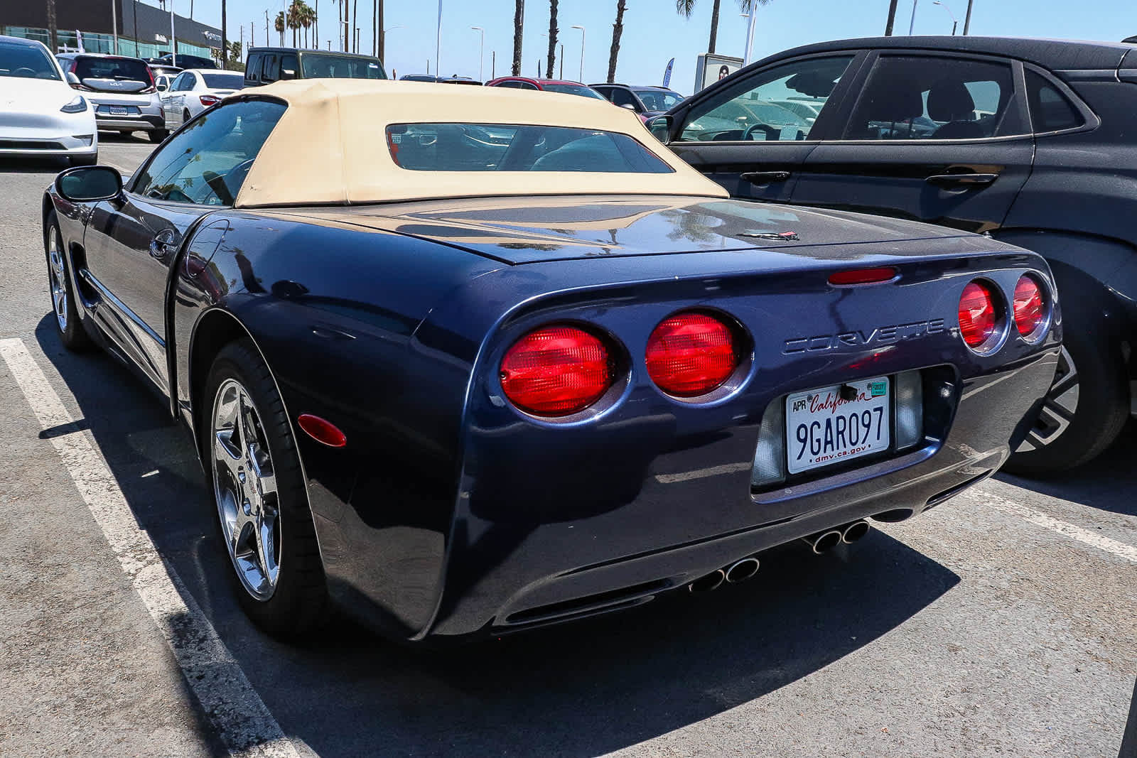 Thumbnail: 2001 Chevrolet Corvette - 5